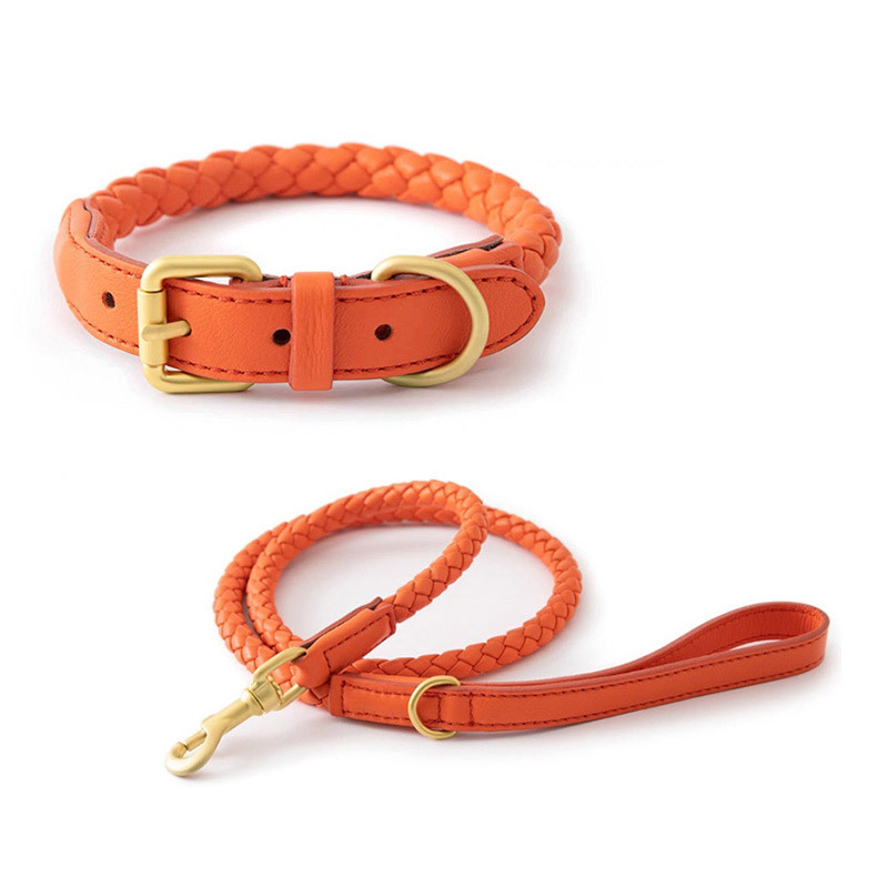 Headcollar Rope Set - Conjunto de Collar y Correa Ajustables