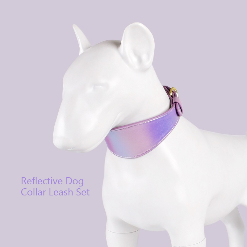 Conjunto de Correa y Collar Re - Headcollar Rope Set reseña y precio