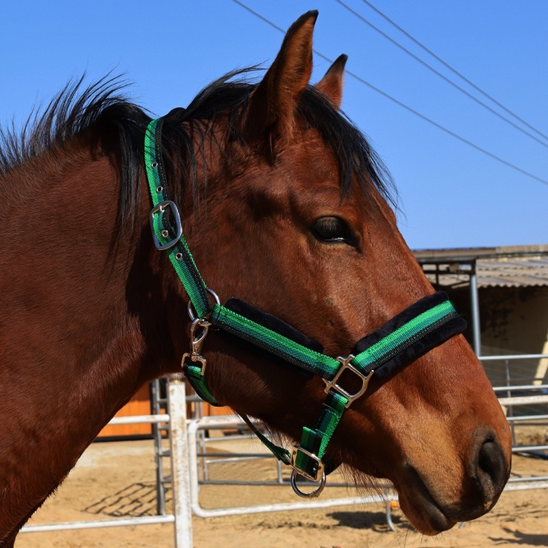 Conjunto de cabestro de tela r - Headcollar Rope Set reseña y precio